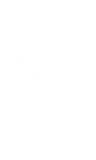 VidCon